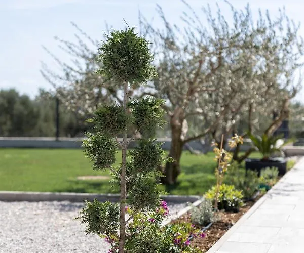 C'est La Vie * Kaštela